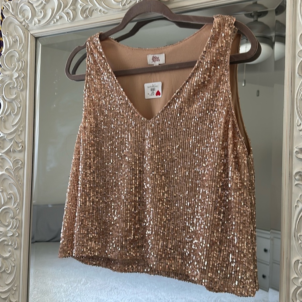 NWT Gorgeous rose gold sequin cropped top